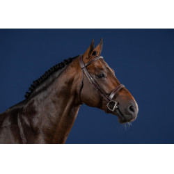 Bridon Hunter US Collectie van Dy'on Bridon Hunter US Collectie van Dy'on