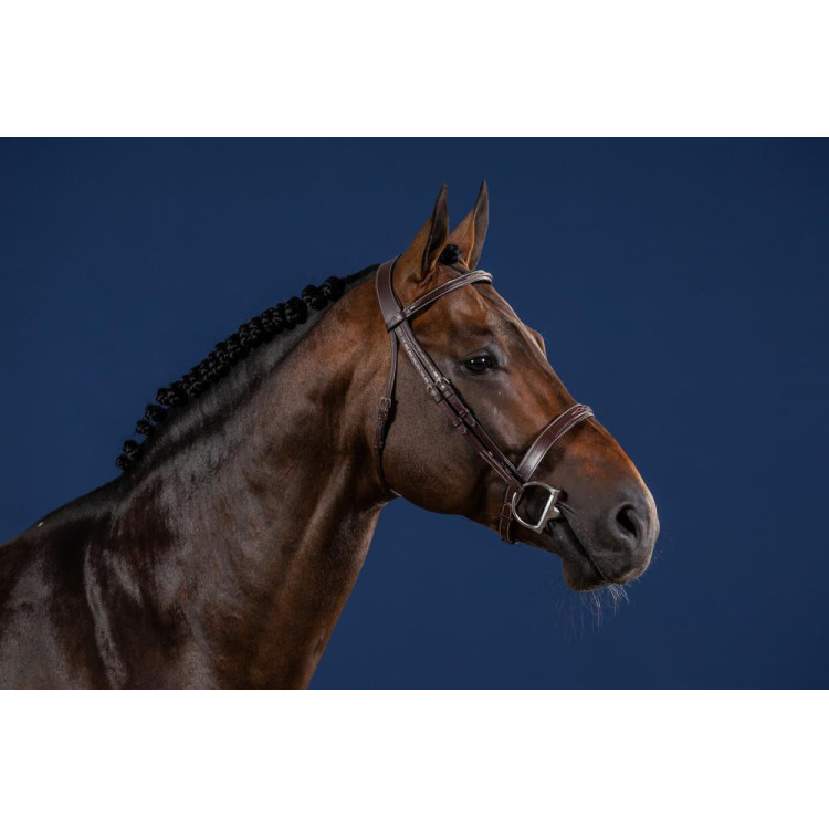 Bridon Hunter US Collectie van Dy'on Bridon Hunter US Collectie van Dy'on
