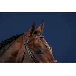 Bridon Hunter US Collectie van Dy'on Bridon Hunter US Collectie van Dy'on