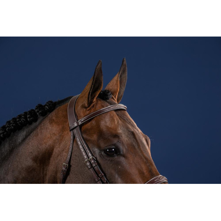 Bridon Hunter US Collectie van Dy'on Bridon Hunter US Collectie van Dy'on