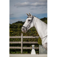 Bridon Musketonriem Duits New English Collection by Dy'on Zwart Bridon Musketonriem Duits New English Collection by Dy'on Zwart