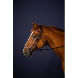 Halster Duitse Neusriem Verstelbaar New English Collection by Dy'on