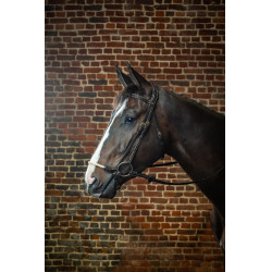 Bridon Duitse Neusriem Touw D Collectie van Dy'on