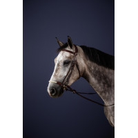 Hoofdstel Duitse Neusriem Touw New English Collection by Dy'on Bruin