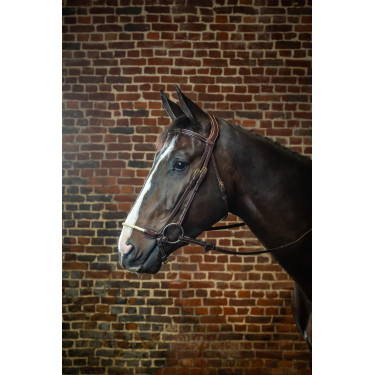 Bridon Duitse Neusriem Touw D Collectie van Dy'on Bruin Bridon Duitse Neusriem Touw D Collectie van Dy'on Bruin