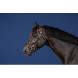 Bridon Mexicaanse Neusriem US Collection by Dy'on