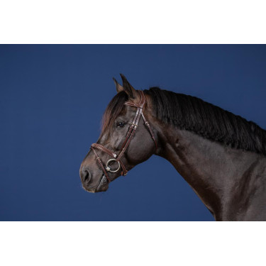 Bridon Mexicaanse Neusriem US Collection by Dy'on Bridon Mexicaanse Neusriem US Collection by Dy'on