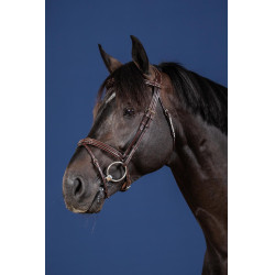 Bridon Mexicaanse Neusriem US Collection by Dy'on Bruin