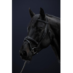 Hoofdstel Combiné Anatomisch US Collectie by Dy'on Zwart