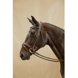 Bridon Combiné Met Brede Neusriem Working By Dy'on