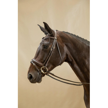 Bridon Combiné Met Brede Neusriem Working By Dy'on Bridon Combiné Met Brede Neusriem Working By Dy'on