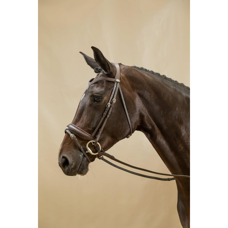 Bridon Combiné Met Brede Neusriem Working By Dy'on