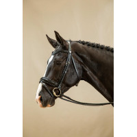 Hoofdstel Combiné Breed Gelakt Working By Dy'on Zwart