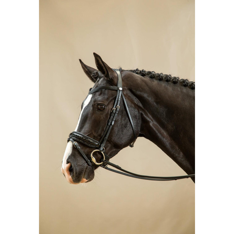 Hoofdstel Combiné Breed Gelakt Working By Dy'on Hoofdstel Combiné Breed Gelakt Working By Dy'on