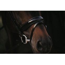 Hoofdstel Combiné Breed Gelakt Working By Dy'on Hoofdstel Combiné Breed Gelakt Working By Dy'on