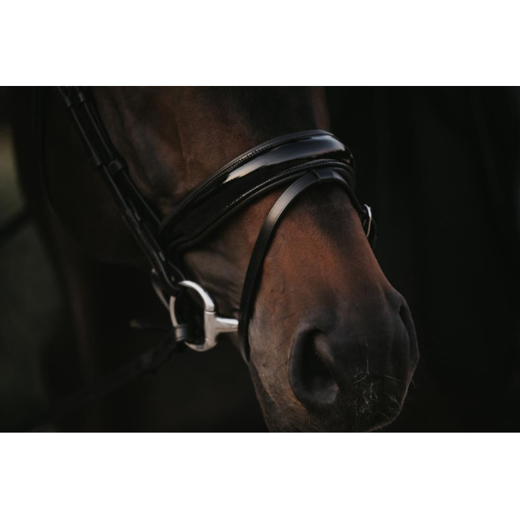Hoofdstel Combiné Breed Gelakt Working By Dy'on Hoofdstel Combiné Breed Gelakt Working By Dy'on