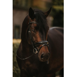 Hoofdstel Combiné Breed Gelakt Working By Dy'on Hoofdstel Combiné Breed Gelakt Working By Dy'on