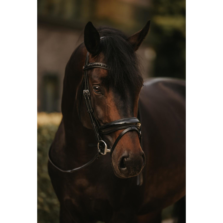 Hoofdstel Combiné Breed Gelakt Working By Dy'on Hoofdstel Combiné Breed Gelakt Working By Dy'on