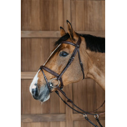 Gevlochten gecombineerde neusriem hoofdstel New English Collection by Dy'on