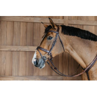 Gevlochten gecombineerde neusriem met Pull Back Dy'on New English Collection Bruin
