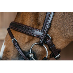 Gevlochten gecombineerde neusriem met Pull Back Dy'on New English Collection Gevlochten gecombineerde neusriem met Pull Back Dy'on New English Collection
