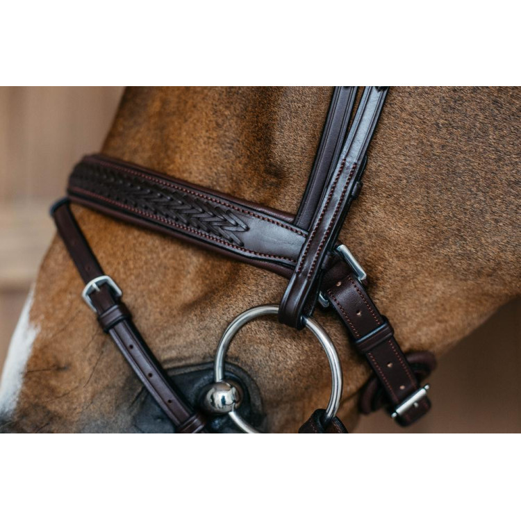 Gevlochten gecombineerde neusriem met Pull Back Dy'on New English Collection Gevlochten gecombineerde neusriem met Pull Back Dy'on New English Collection
