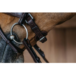 Gevlochten gecombineerde neusriem met Pull Back Dy'on New English Collection Gevlochten gecombineerde neusriem met Pull Back Dy'on New English Collection