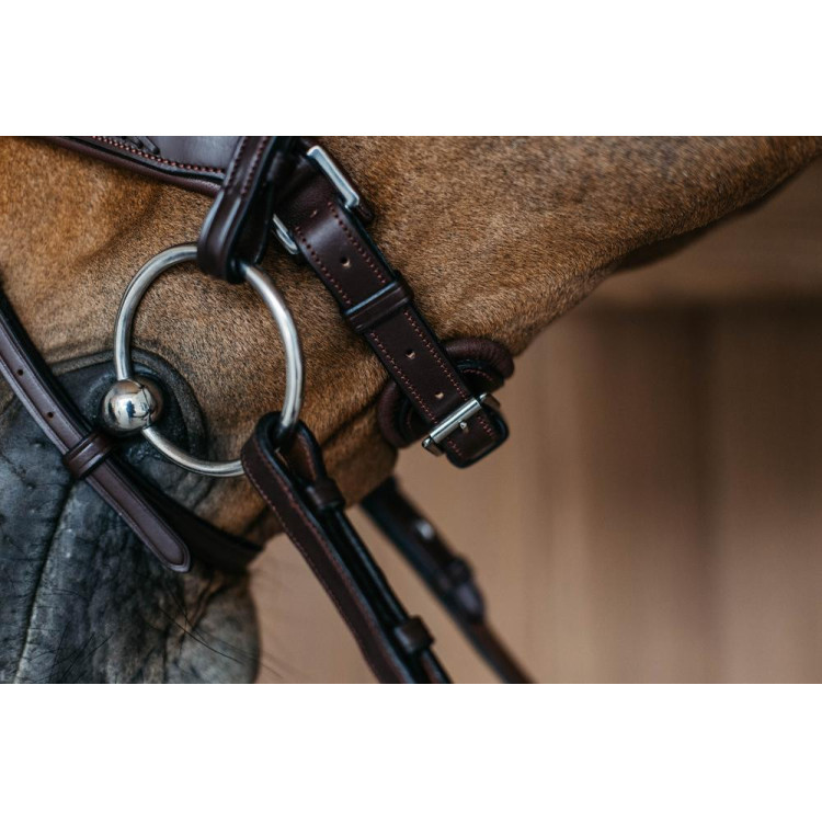 Gevlochten gecombineerde neusriem met Pull Back Dy'on New English Collection Gevlochten gecombineerde neusriem met Pull Back Dy'on New English Collection