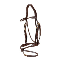 Gevlochten gecombineerde neusriem rond Dy'on Bruin