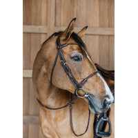 Gevlochten gecombineerde neusriem rond Dy'on Zwart Gevlochten gecombineerde neusriem rond Dy'on Zwart