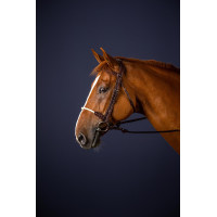 Bridon Neusriem Touw New English Collection by Dy'on Bruin Bridon Neusriem Touw New English Collection by Dy'on Bruin