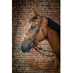 Bridon Neusriem Touw D Collectie van Dy'on