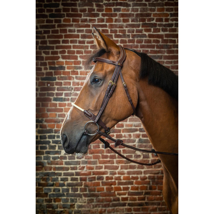 Bridon Neusriem Touw D Collectie van Dy'on