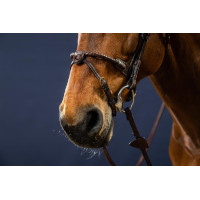 Hoofdstel Neusriem Touw Bekleed met Leer D Collectie van Dy'on Bruin Hoofdstel Neusriem Touw Bekleed met Leer D Collectie van Dy'on Bruin