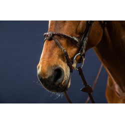 Hoofdstel Neusriem Touw Bekleed met Leer D Collectie van Dy'on Bruin Hoofdstel Neusriem Touw Bekleed met Leer D Collectie van Dy'on Bruin