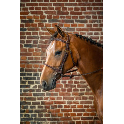 Hoofdstel Neusriem Touw Bekleed met Leer D Collectie van Dy'on Bruin Hoofdstel Neusriem Touw Bekleed met Leer D Collectie van Dy'on Bruin