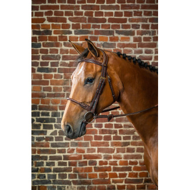 Hoofdstel Neusriem Touw Bekleed met Leer D Collectie van Dy'on Bruin Hoofdstel Neusriem Touw Bekleed met Leer D Collectie van Dy'on Bruin