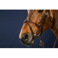 Hoofdstel Neusriem Koord Bekleed met Leer New English Collection by Dy'on Bruin