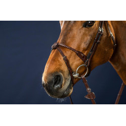 Hoofdstel Neusriem Koord Bekleed met Leer New English Collection by Dy'on