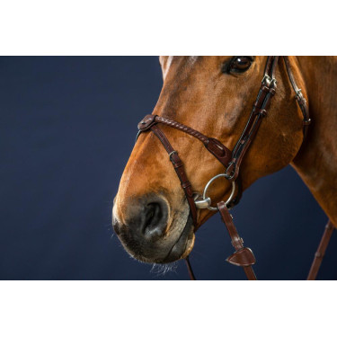 Hoofdstel Neusriem Koord Bekleed met Leer New English Collection by Dy'on Hoofdstel Neusriem Koord Bekleed met Leer New English Collection by Dy'on