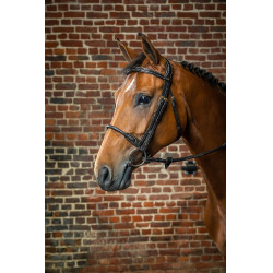 Hoofdstel Neusriem Touw Bekleed met Leer D Collectie van Dy'on