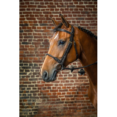 Hoofdstel Neusriem Touw Bekleed met Leer D Collectie van Dy'on