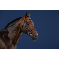 Franse Neusriem US Collectie van Dy'on Zwart Franse Neusriem US Collectie van Dy'on Zwart