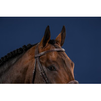 Franse Neusriem US Collectie van Dy'on Zwart Franse Neusriem US Collectie van Dy'on Zwart