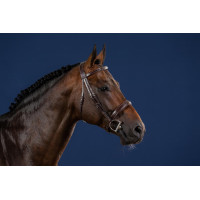 Bridon Muserolle Large Hunter US Collectie van Dy'on Bruin