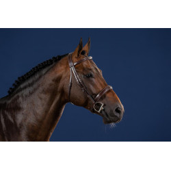 Bridon Muserolle Large Hunter US Collectie van Dy'on