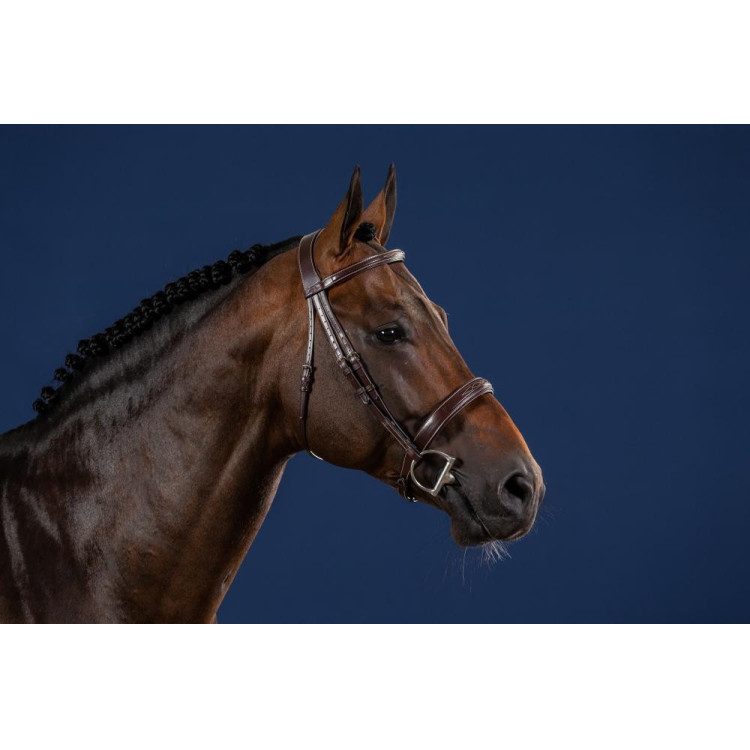 Bridon Muserolle Large Hunter US Collectie van Dy'on