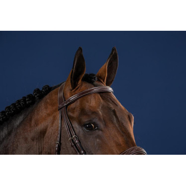 Bridon Muserolle Large Hunter US Collectie van Dy'on Bridon Muserolle Large Hunter US Collectie van Dy'on