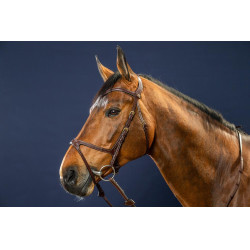 Bridon X-Fit D Collectie van Dy'on