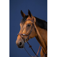 Bridon X-Fit New English Collection van Dy'on Bruin Bridon X-Fit New English Collection van Dy'on Bruin